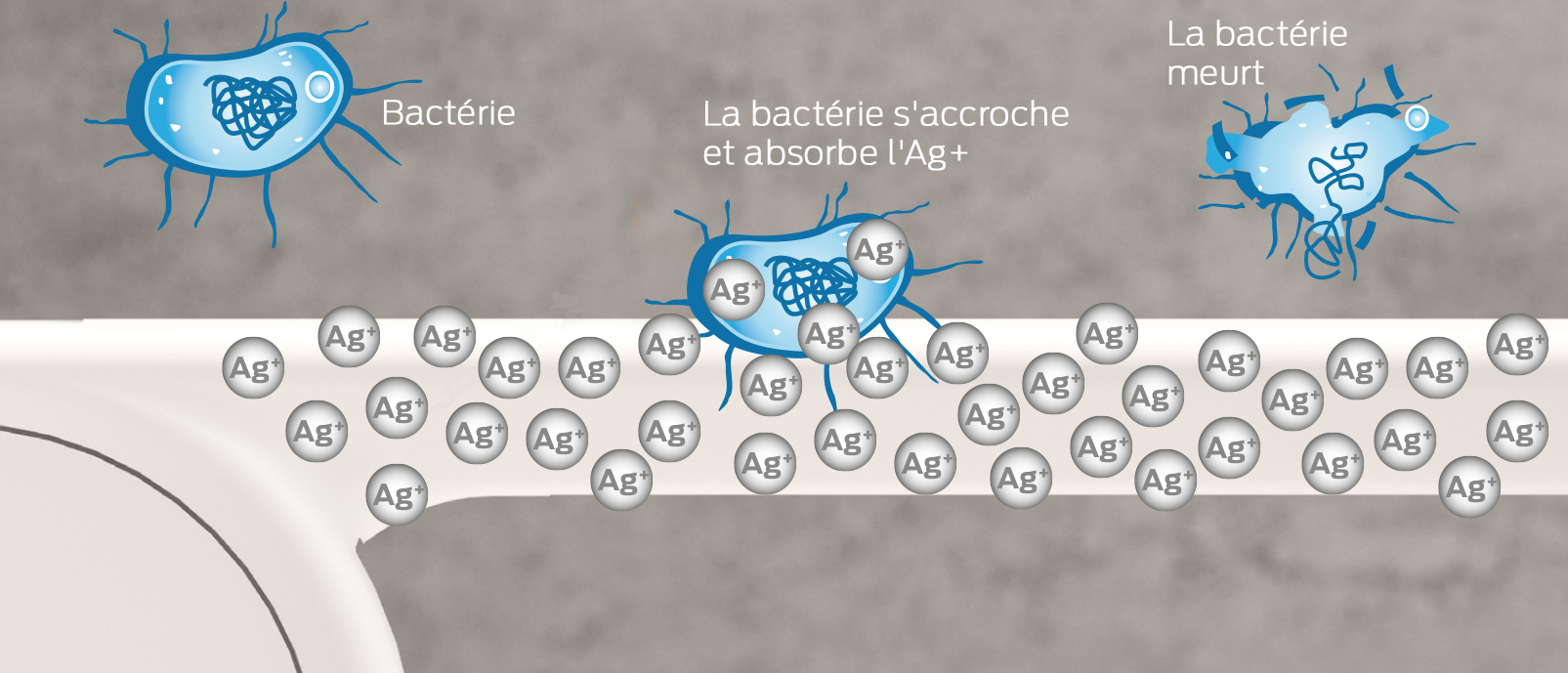 Antibac